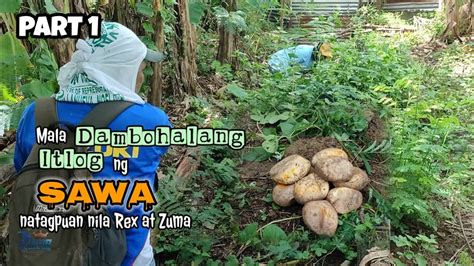 Nilaro ni Maria Ang Lungga ng Sawa.